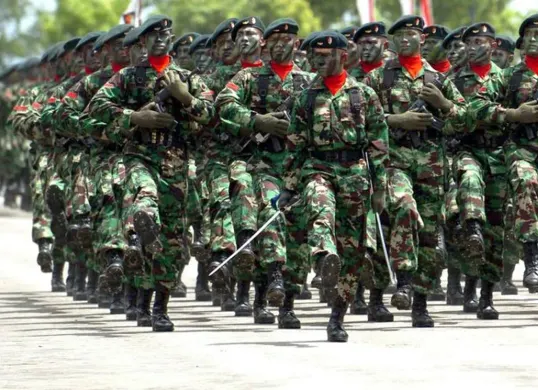Ilustrasi TNI (Sumber: Pinterest)
