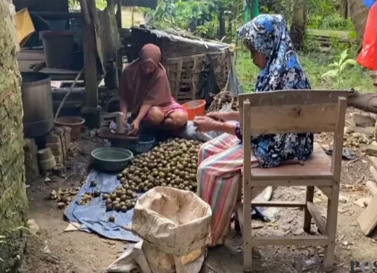 Pengrajin buah kolang kaling di Kampung Cibulung, Desa Tambakbaya, Kecamatan Cibadak, Kabupaten Lebak, saat mengolah buah aren. (Sumber: Poskota/Samsul Fatoni)