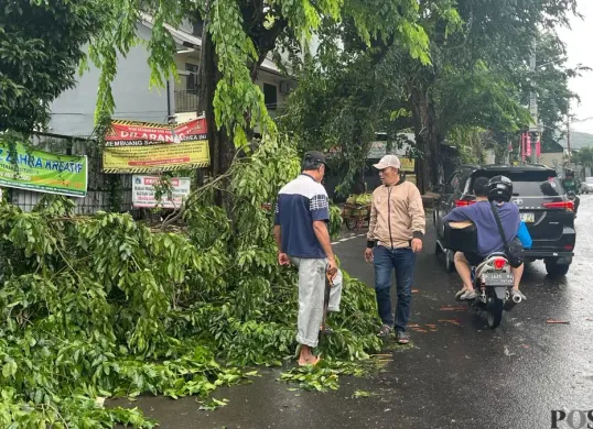 Angin kencang membuat pohon tumbang di Jalan Raya Kebon Jeruk, tepatnya di dekat SMP Negeri 127, Kebon Jeruk, Jakarta Barat, Sabtu, 28 Februari 2026. (Sumber: Poskota/Pandi Ramedhan)