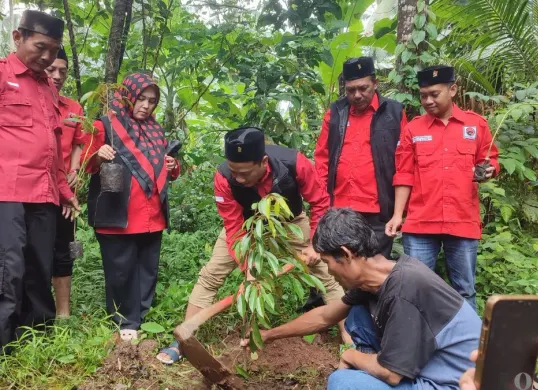 Sekretaris DPC PDI Perjuangan Pandeglang dan jajarannya saat melakukan penanaman pohon di wilayah Menes. (Sumber: Poskota/Samsul Fatoni)