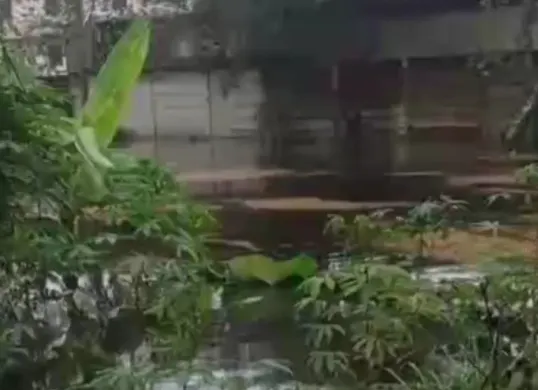 Banjir campur oli di kawasan Olex, Desa Cisereh, Kecamatan Tigaraksa, Kabupaten Tangerang. (Sumber: Istimewa)