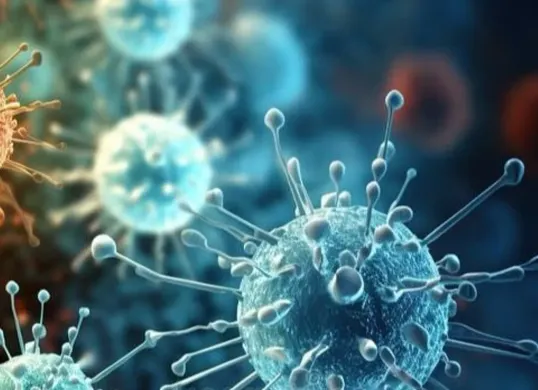 Wabah Virus Nipah Kembali Muncul di India, Ancaman Zoonosis Mematikan Tanpa Vaksin Jadi Sorotan Dunia (Sumber: Pinterest)