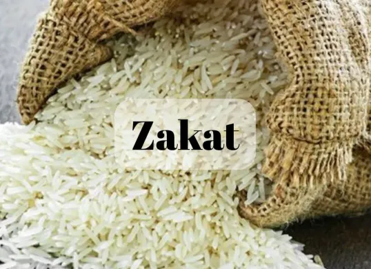 Ilustrasi. Zakat Fitrah dan Fidiah ramadan 1447 H (Sumber: Pinterest/grammeri3)