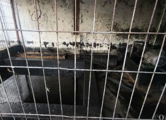 Bak penampungan oli milik PT ACML yang meluap saat banjir. (Sumber: Poskota/Veronica Prasetio)