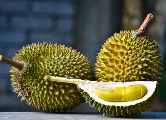 Ilustrasi buah durian. Meski kaya nutrisi dan bercita rasa khas, durian mengandung kalori serta gula yang cukup tinggi sehingga sebaiknya dikonsumsi dalam porsi yang bijak. (Sumber: Flickr)