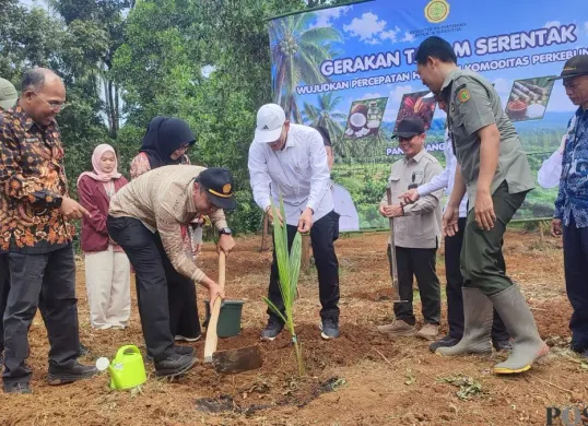 Dirjen Perkebunan melakukan penanaman bibit kelapa di Kecamatan Pulosari, Kabupaten Pandeglang, Kamis 2 Juli 2026. (Sumber: Poskota/Samsul Fatoni)