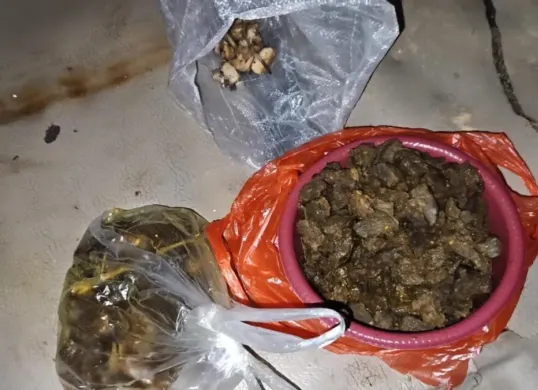 Daging Tapir yang sudah diolah, diamankan sebagai barang bukti dalam pengungkapan kasus pembunuhan satwa dilindungi di Register 45, Mesuji, Lampung. (Sumber: Polres Mesuji)