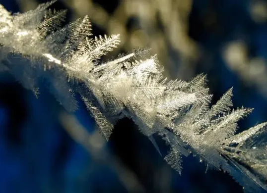 Fenomena embun upas mulai terlihat di Dataran Tinggi Dieng saat suhu udara turun hingga minus 6 derajat Celsius. BMKG mengimbau wisatawan menyiapkan pakaian hangat sebelum berkunjung pada musim kemarau. (Sumber: Pixnio)