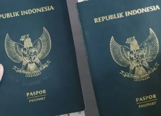 Ada beberapa persyaratan untuk mengajukan permohonan pelepasan status WNI. (Sumber: Pinterest/Elvavinski)