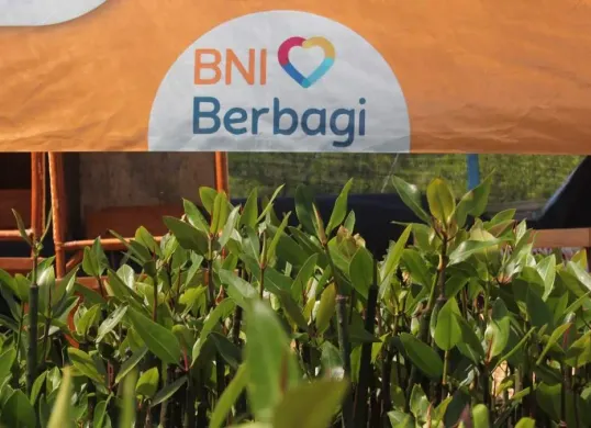 BNI memperingati Hari Mangrove Sedunia, Minggu, 26 Juli 2026. (Sumber: Dok. Istimewa)