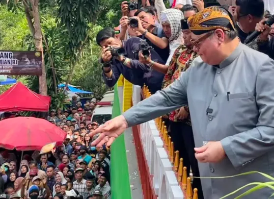 Potret Menteri Koordinator Bidang Perekonomian Airlangga Hartarto. (Sumber: Istimewa)