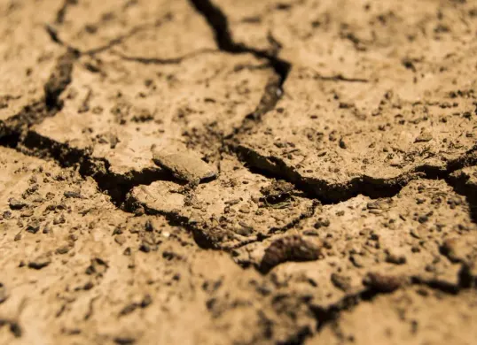 Kekeringan hingga krisis air melanda beberapa wilayah Kota Depok. (Sumber: Pixabay/daeron)