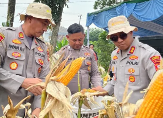 Kapolres Karawang AKBP Fiki N Ardiansyah meninjau perkembangan tanaman jagung hibrida tahap kedua seluas 1 hektare di Dusun Krajan II, RT 08/02, Desa Warungbambu, Kabupaten Karawang, Minggu, 21 Juni 2026. (Sumber: Istimewa)