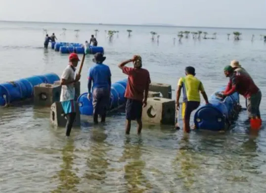 Sejumlah nelayan saat melakukan pelestarian terumbu karang di Kepulauan Seribu. (Sumber: Pemprov DKI Jakarta)