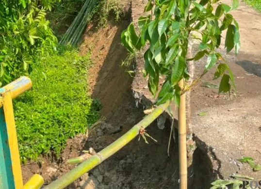 Ruas jalan yang longsor dikasih tanda dengan pohon kayu oleh warga di Lebak. (Sumber: Poskota/Samsul Fatoni)