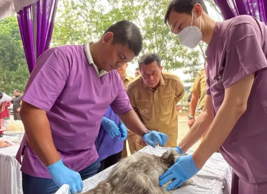 Bupati Tangerang, Maesyal Rasyid saat memantau kegiatan vaksinasi hewan peliharaan gratis. (Sumber: Istimewa)