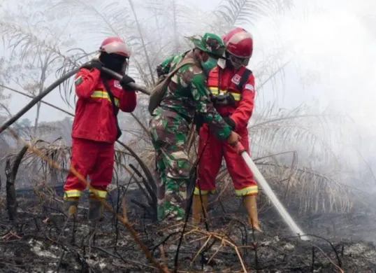 Petugas sedang memadamkan kebakaran hutan (Karhutla) di lahan gambut. (Sumber: Kementerian Kehutanan)
