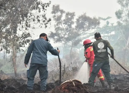 Tim gabungan melakukan pengendalian kebakaran hutan dan lahan di wilayah prioritas untuk mencegah api meluas serta memastikan titik panas segera diverifikasi di lapangan. (Sumber: Kemenhut)