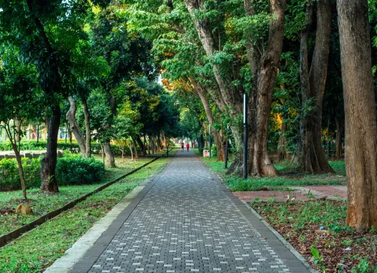Ilustrasi salah satu taman di Jakarta yang dioperasikan selama 24 jam dan dapat dimanfaatkan warga untuk berolahraga maupun menikmati suasana malam. (Sumber: Wikipedia)