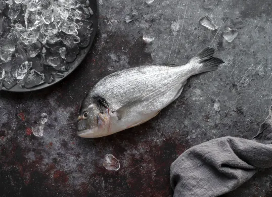 Ikan nila hitam atau blackchin tilapia disebut sebagai spesies invasif di Thailand. (Sumber: Magnific)