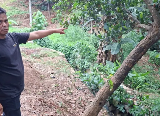 Penjaga villa menunjukan lokasi batang pohon nangka yang diduga dijadikan tempat korban mengakhiri hidupnya di Kelurahan Pondok Jaya, Kecamatan Cipayung, Kota Depok, Kamis, 24 September 2026. (Sumber: Poskota/Angga Pahlevi)