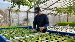 Ketua Poktan GSG 07 Kembangan, Kasmin, saat sedang melihat tanaman hidroponik yang dia kembangkan di kebun, Senin, 20 April 2026. (Sumber: Poskota/ Pandi Ramedhan)