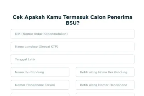 Bantuan Subsidi Upah (BSU) 2025. (Sumber: bsu.bpjsketenagakerjaan.go.id)